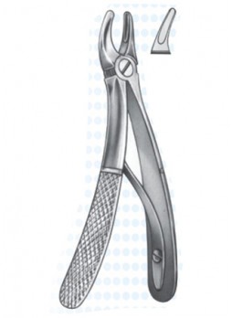 Extracting Forceps